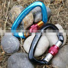 Factory Wholesale Heavy Duty Hiking Aluminum Carabiner Swivel Carabiner Hook D Shape Screw Gate Aluminum Carabiner