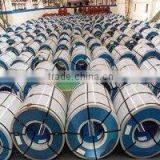 PPGI/PPGL/GI/GL thumbnail-6