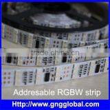 Hihg Quality Addressable Rgb Pixel, Wrgb Led Strip SMD 5050 Addressable Strip for Decroration Lighting Project