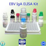 blood testing reagent ELISA kit Epstein Barr Virus VCA IgA