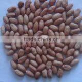 Junan Good Peanut Kernel 24/28 thumbnail-1