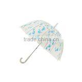 Newest Special Kids Poe Small Transparent Umbrella