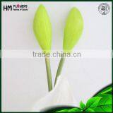 Orchids Plants Cymbidium thumbnail-3