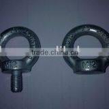 Elec.Galvanized Eye Bolt DIN580 & DIN582