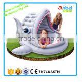 Giant Inflatable Baby Swimming Pool thumbnail-2
