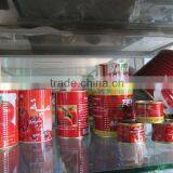 Double Tomato Paste3000g