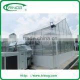 Low Cost Greenhouse for Research thumbnail-1