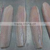 PANGASIUS LOINS