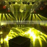 Dage Dynamic Effects Lighting Fixtures for Christmas thumbnail-5