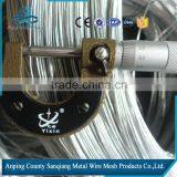 ISO High Quality Hot Dip Galvanized Wire (gold Supplier )