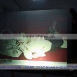 DEFI Best Price Film on Glass or Window Show Information thumbnail-1