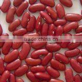 Light Red Bean thumbnail-1