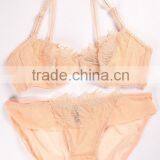 Factory Direct Women Lingerie Sexy Bra Set (CAS033) thumbnail-1