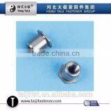 flat head rivet nut