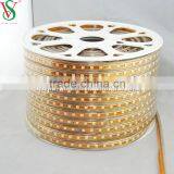 SMD 5050 Rope Strip Light thumbnail-5