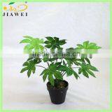 Fake Bonsai Split Table Plant