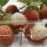2014 New Crop Canned Fruit With Good Taste Canned Lychees thumbnail-1