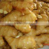 Fresh Ginger thumbnail-3