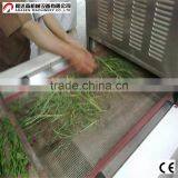 Herba Cistanches Drying Machine thumbnail-6