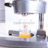 High Quality Commercial Cold Press Juicer
