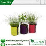Green Field Canvas Flower Planter,Canvas Fabric Garden Planter Pot thumbnail-1