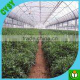 100% Virgin LDPE 88% Light Transmission 6 Mil Greenhouse Film Plastic Cover thumbnail-4
