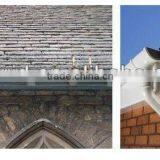 Roof Gutter Drainage