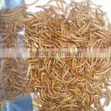 FDA Broiler Poultry Feed Mealworms thumbnail-3