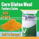 Supply Corn Gluten Powder 65% Protein Famous Lab Tested