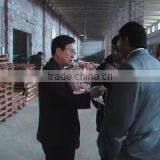 Safa Traders company overview - view 2 thumbnail