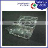Transparent Plastic Disposable Food Trays thumbnail-1