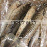 FROZEN Grey Mullet thumbnail-1