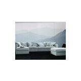 New Design Solid Wood Dealer Fueniture Modern Combination Sofa thumbnail-1