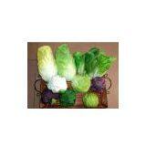 Artificial Vegetable thumbnail-1