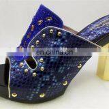 High Quality Fashion Shoes for Woman(MD-105) Wholesale Women Shoes thumbnail-2
