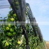 Multi-Span Agricultural Greenhouses Type and pe Cover Material anti-hail net