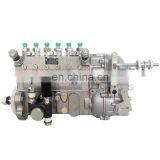 Injection Pump 10 402 376 154 10402376154 for TBD226B Engine