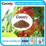Top Sale Cocoly Compound Fertilizer