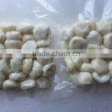 Best Price Frozen Taro Small From Vietnam