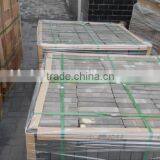 Clay Brick, Paving Brick, Plaza Brick thumbnail-1