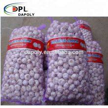 Großhandel an maßgeschneiderten wiederverwendbaren HDPE-Netzsäcken für Zwiebeln, Knoblauch und Gemüse in 25 kg und 50 kg Fassungen thumbnail-2