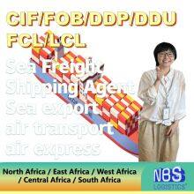 Tanzania Sea Freight Shipping Services From China/Fob/DDP to Tanzania thumbnail-1