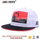 Customize Printed Pattern Snpaback Hat/printed Fitted Snapback Hat/printed Custom Snapback thumbnail-1