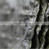 Roasted Seaweed Importer Organic Sliver Seaweed thumbnail-5