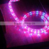 12V/24V/ 110/230v Color Changing LED Flat Rope Lights thumbnail-3