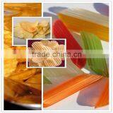 China Top Quality Fruit Washing Machine/potato Chips Plane thumbnail-2