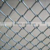 5x5 Animal Chain Link Fence (anping Factory)