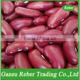 Red Kidney Beans thumbnail-1