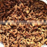 Chinese spices of galangal root export to Egypt