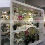 Shenzhen HYS Trading Co., Ltd. company overview - view 3 thumbnail